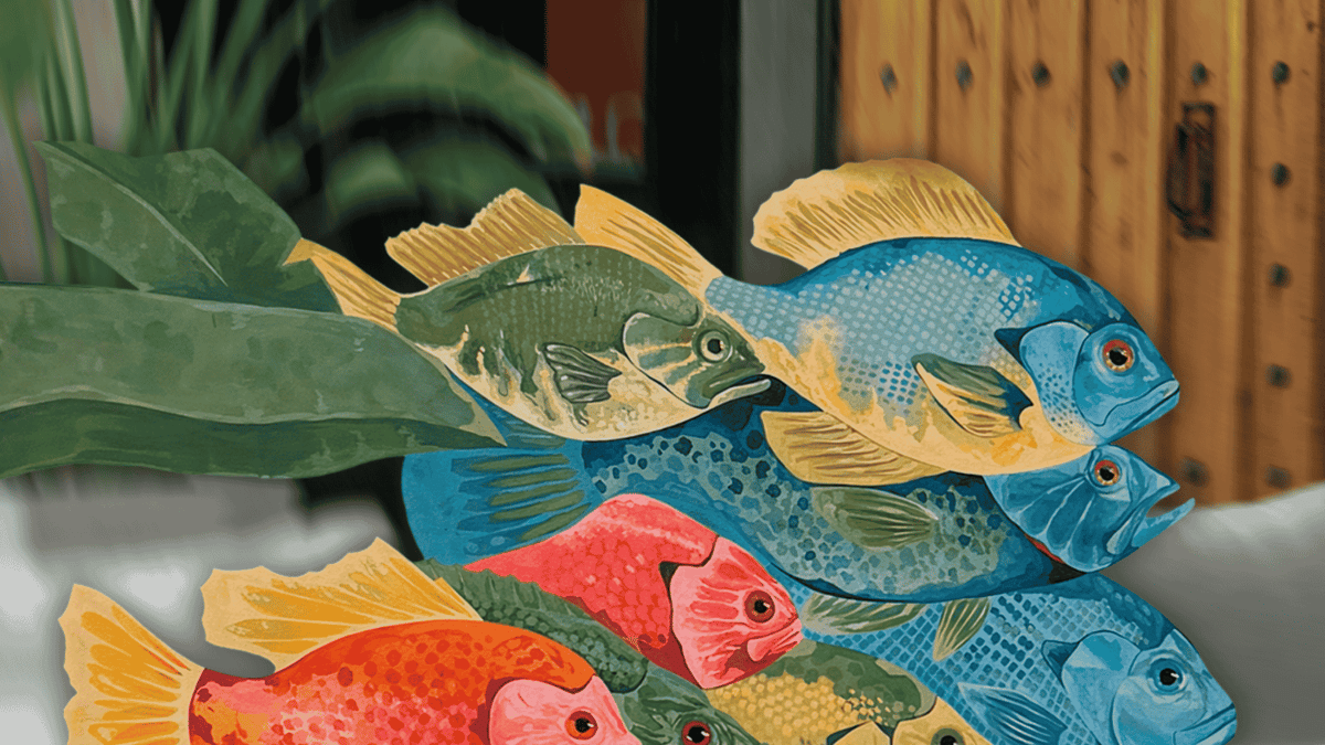 1 year anniversary fish graphic