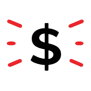 Money icon