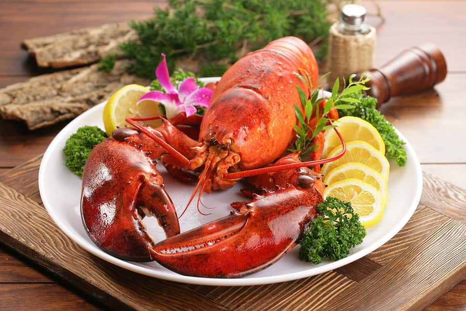 steamed lobster