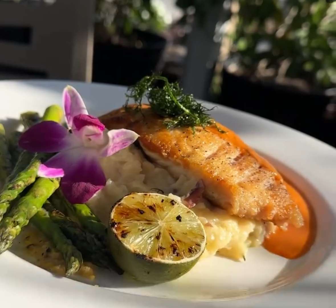 Fresh Catch