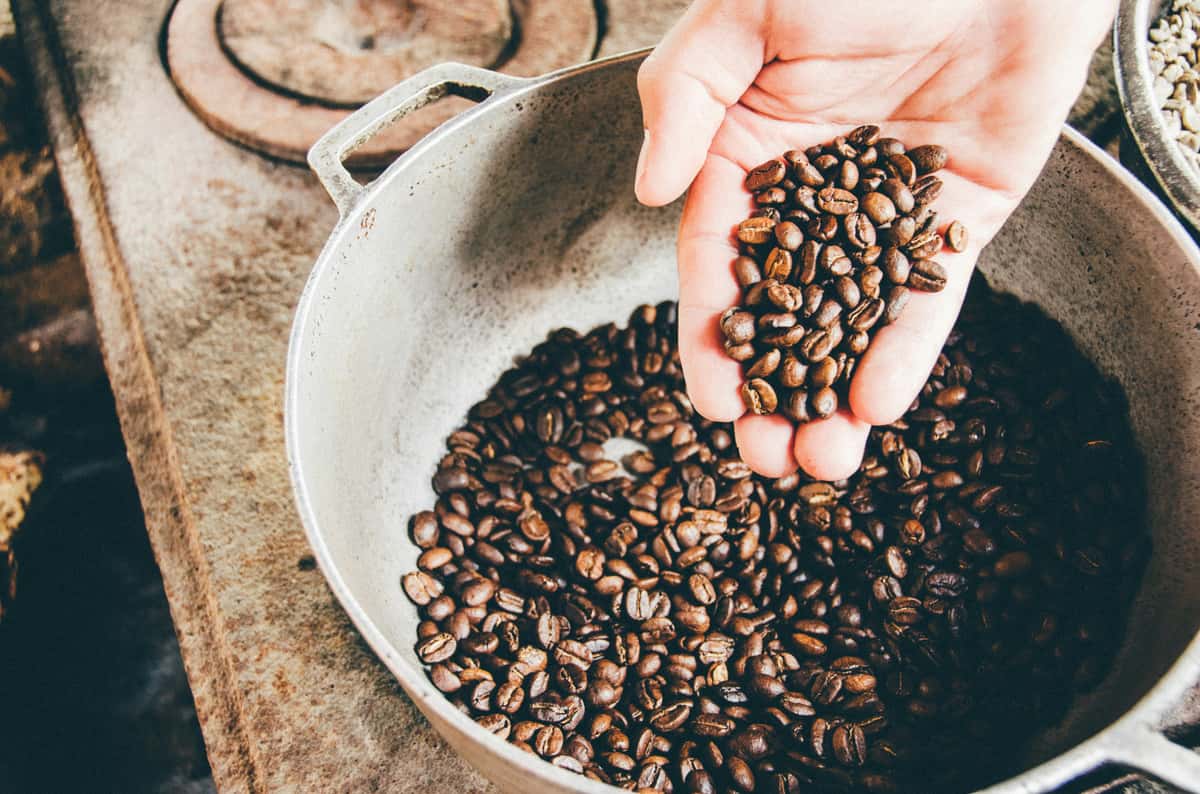 Hand holding freshly roasted coffee beans over a large metal pot, highlighting the artisanal roasting process in a coffee shop setting.