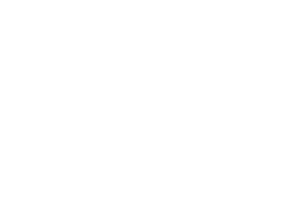 giant eagle