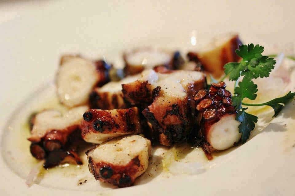 Marinated and charcoal grilled octopus