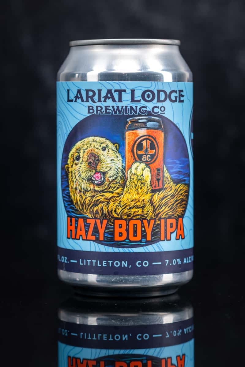 Hazy Boy IPA Can