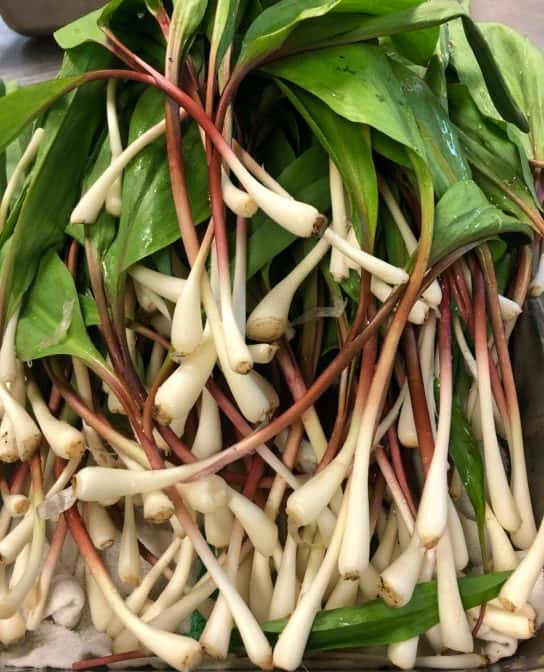 ramps