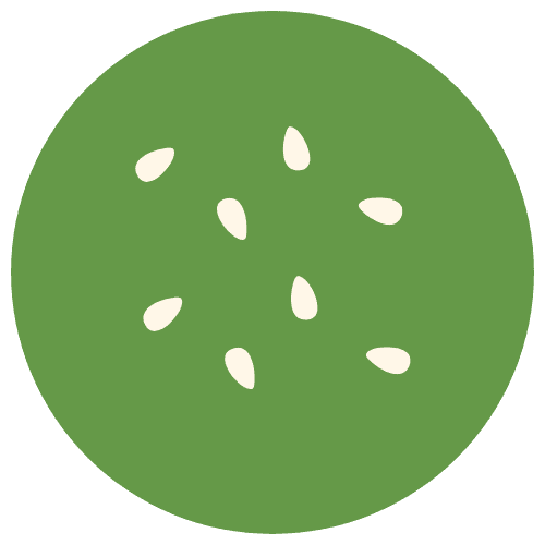 Seeds Icon