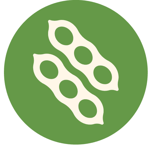 Legume Icon