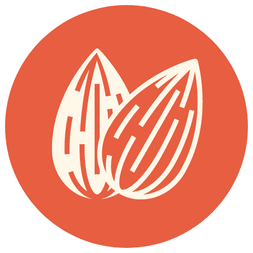 Tree Nut Icon