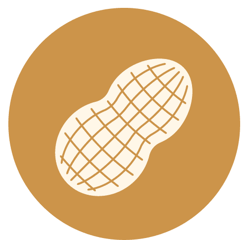 Peanut Icon