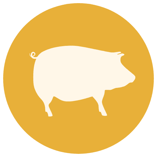 Pig Icon