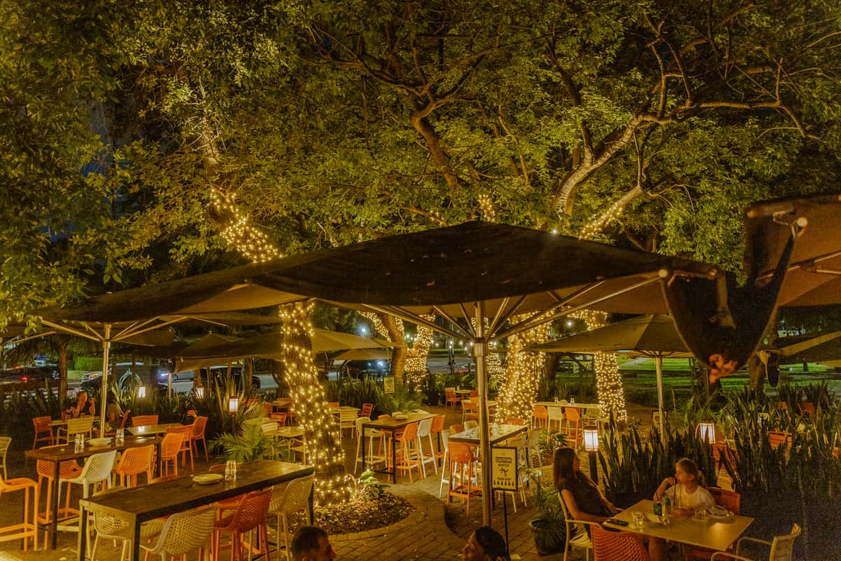 Outdoor restaurant patio with string lights and mature trees creating a relaxed upscale dining atmosphere