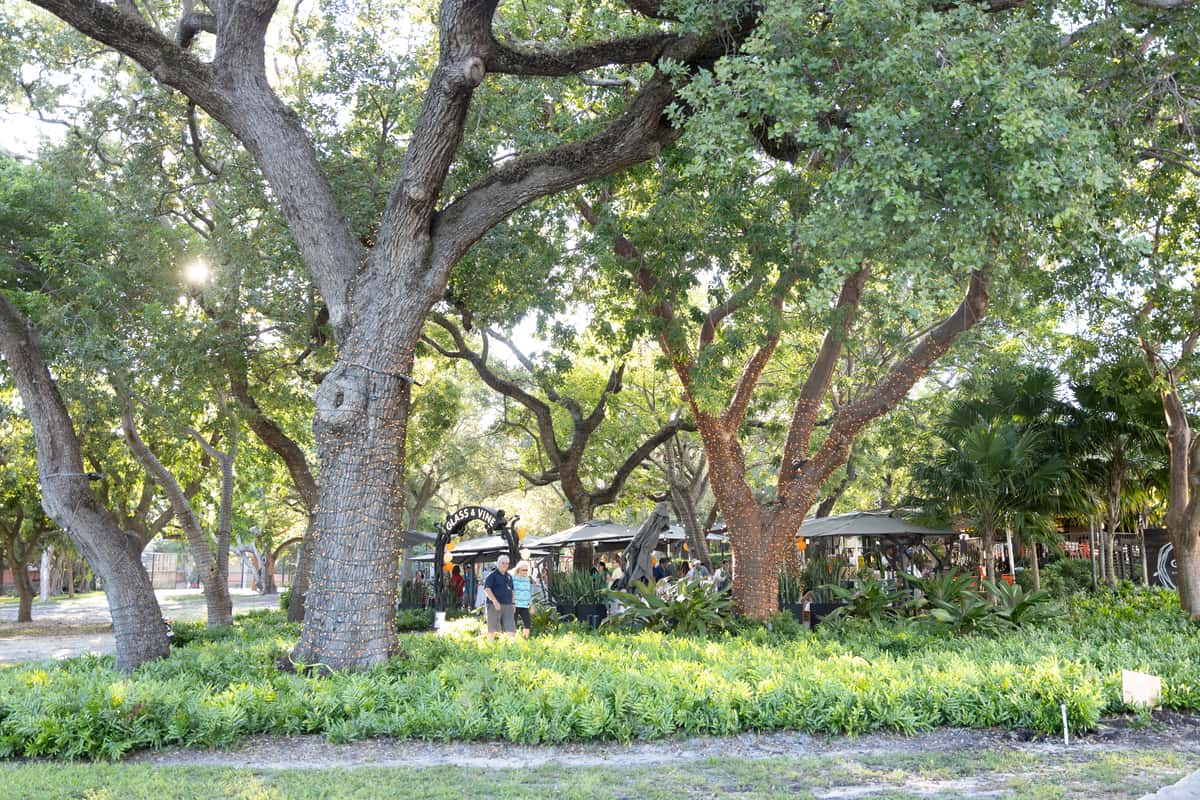 Glass & Vine outdoor dining area surrounded by mature trees, shade, and lush greenery in Coconut Grove