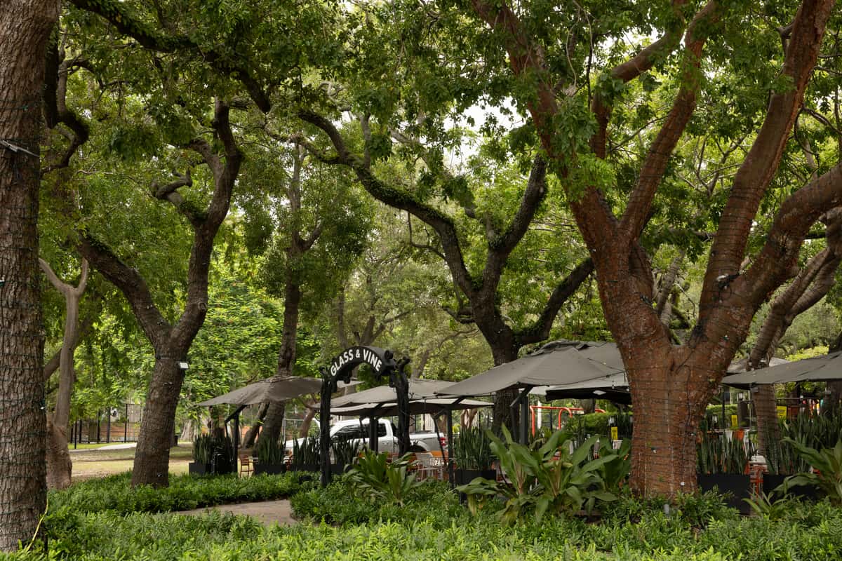 Glass & Vine Coconut Grove garden restaurant surrounded by oak trees and greenery for an outdoor event theme