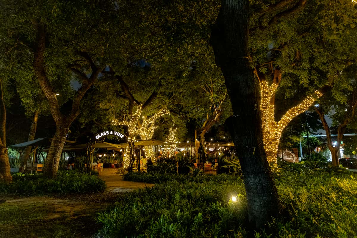 Glass & Vine outdoor patio surrounded by trees and garden lighting at night
