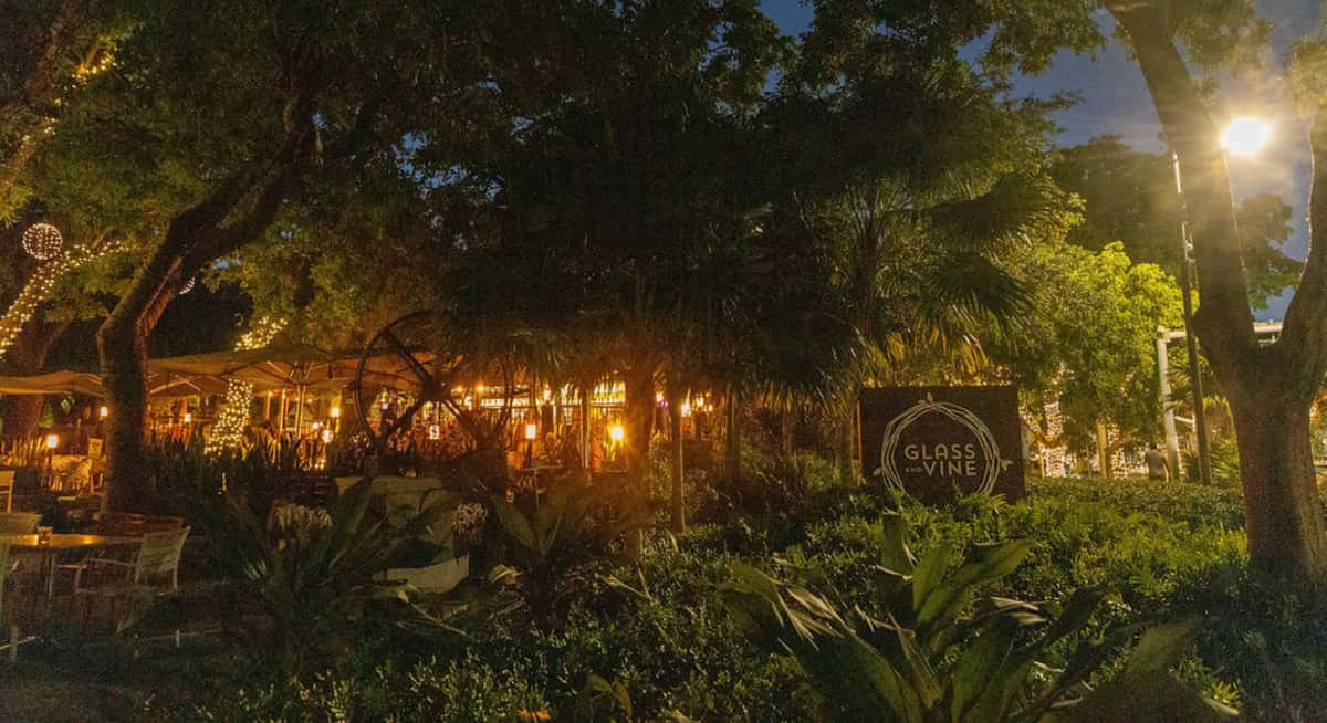 Nighttime garden dining at Glass & Vine in Coconut Grove with illuminated trees, tropical landscaping, and outdoor seating.
