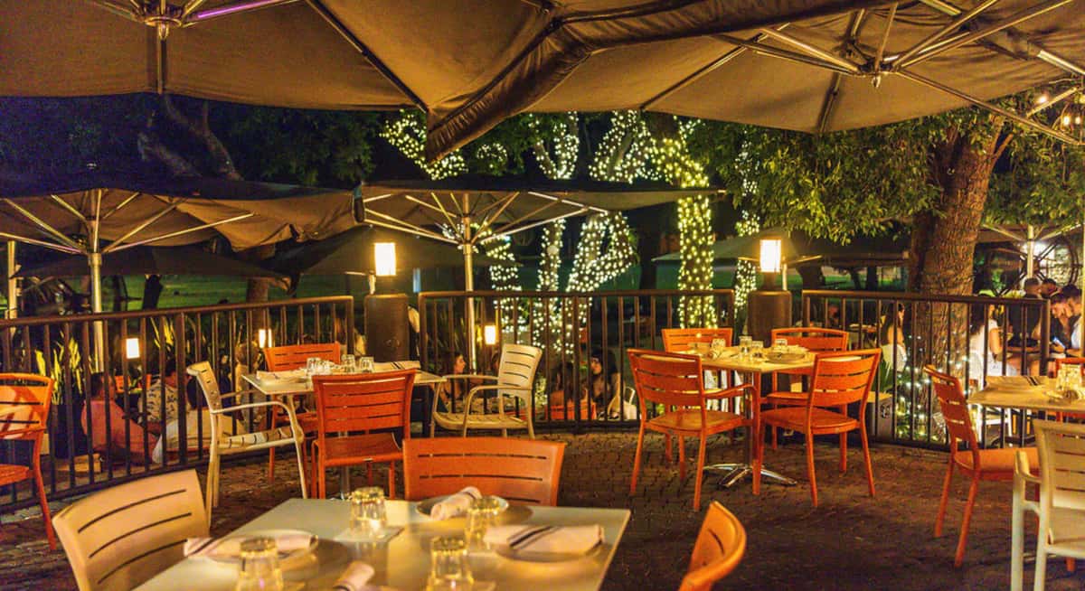 Glass & Vine restaurant sign surrounded by lush tropical greenery and illuminated oak trees in Peacock Park, Coconut Grove at night.