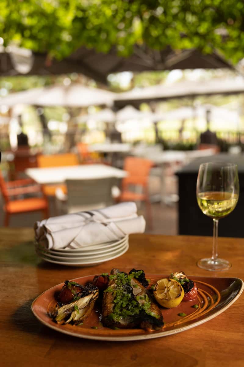 Entree with wine