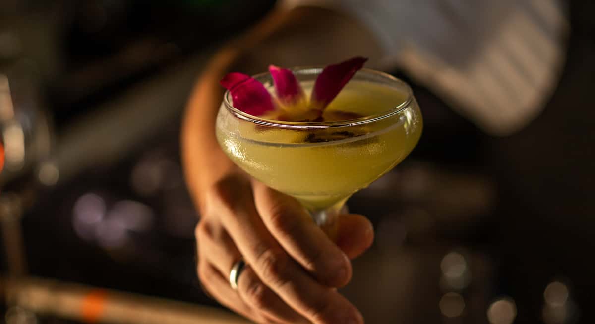 Close-up of yellow cocktail in coupe glass garnished with pink orchid, held over softly lit bar background.