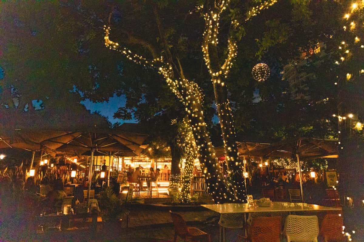 Christmas Week in Coconut Grove