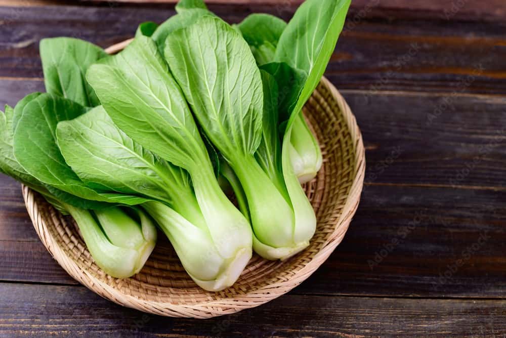 Fresh green bok choy with crisp white stalks and tender dark green leaves, displayed as a leafy vegetable.