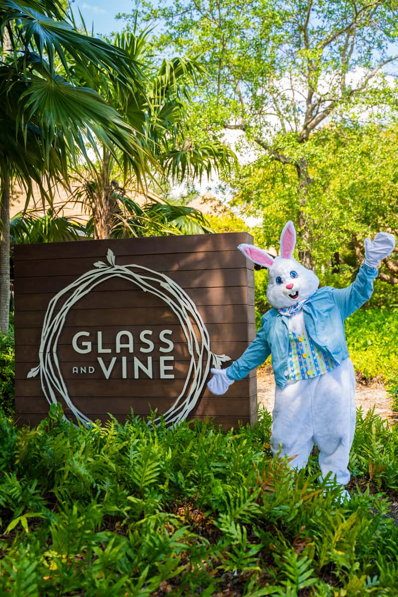 easter bunny in front of glass and vine sign