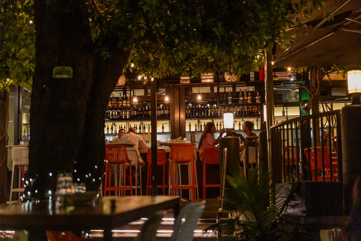 Unforgettable Family Nights in the Park