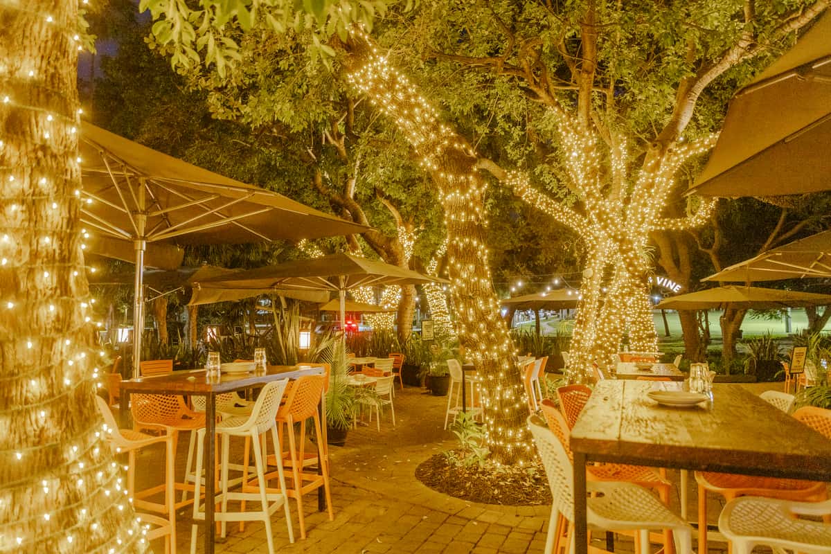 Glass & Vine Coconut Grove outdoor garden setting with illuminated trees and warm lighting for an evening party theme
