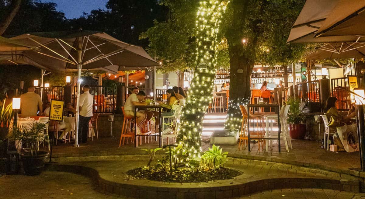 Outdoor patio seating at Glass & Vine featuring string-lit trees, umbrellas, and guests dining in a lush park setting at night.