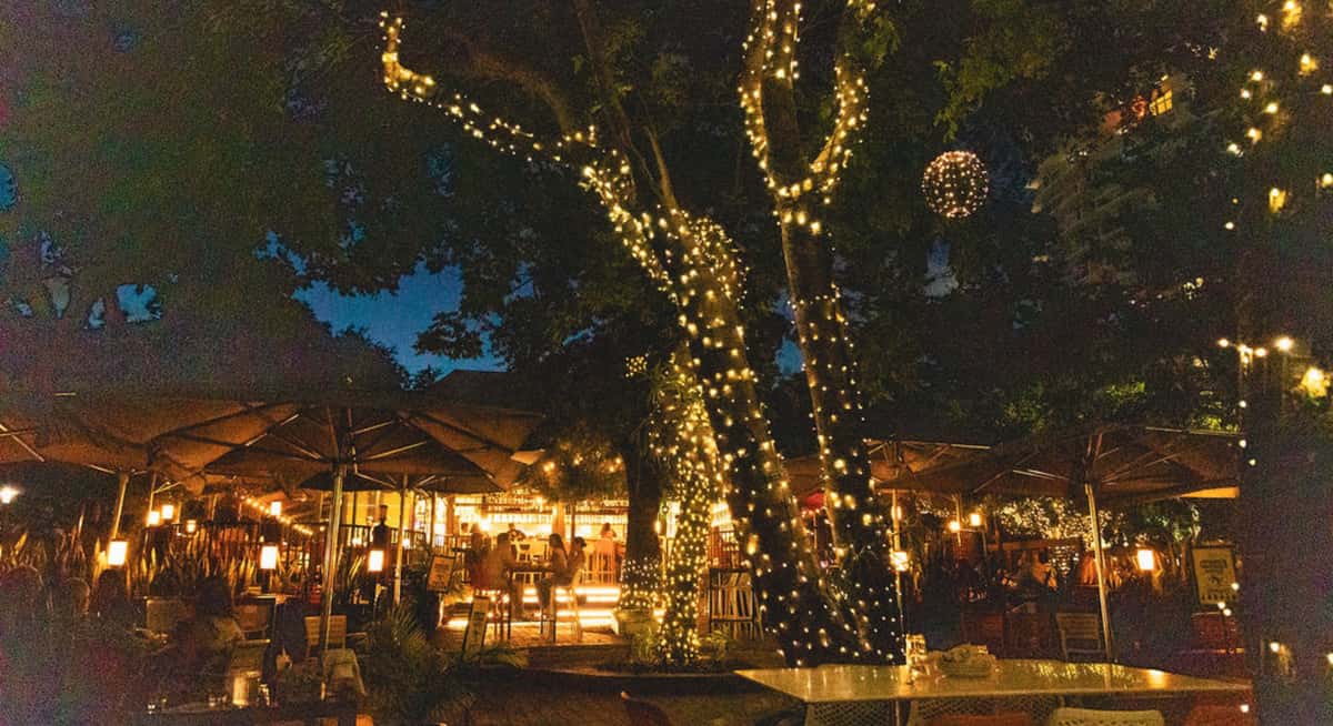 Open-air garden restaurant at night with trees wrapped in string lights and guests dining under umbrellas.