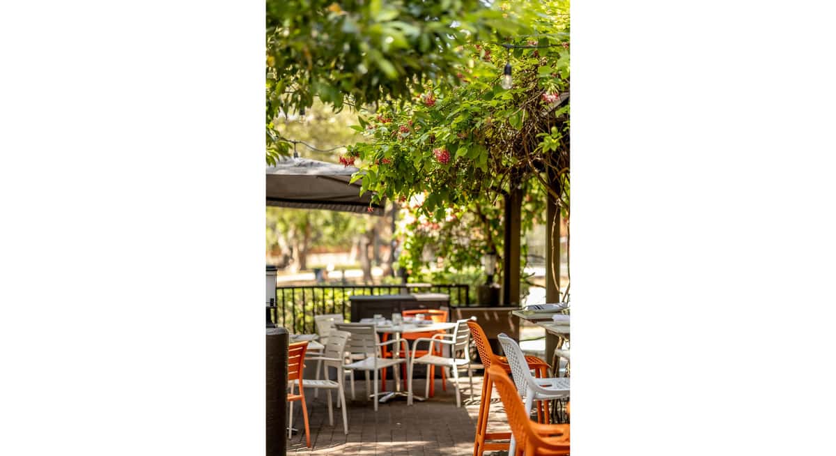 Outdoor garden patio dining area with white and orange chairs under leafy trees and string lights.