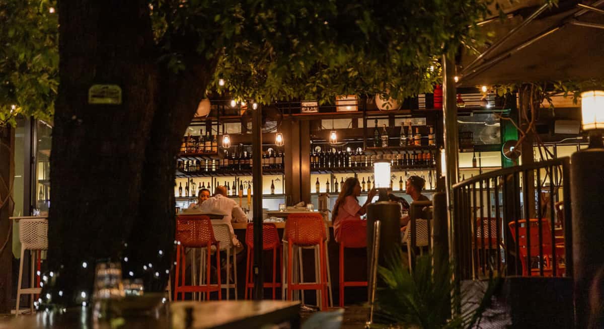 Outdoor garden restaurant patio at night with orange chairs, large umbrellas, and trees wrapped in warm string lights creating a relaxed dining atmosphere.