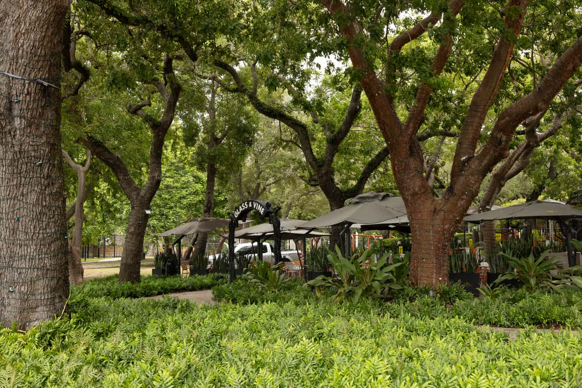 Outdoor dining area at Glass & Vine Coconut Grove with orange chairs, table settings, and natural greenery