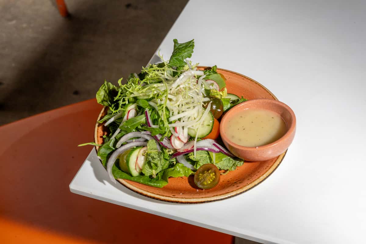 Garden salad with cucumber, radish, red onion, tomatoes, greens, and lemon balsamic dressing