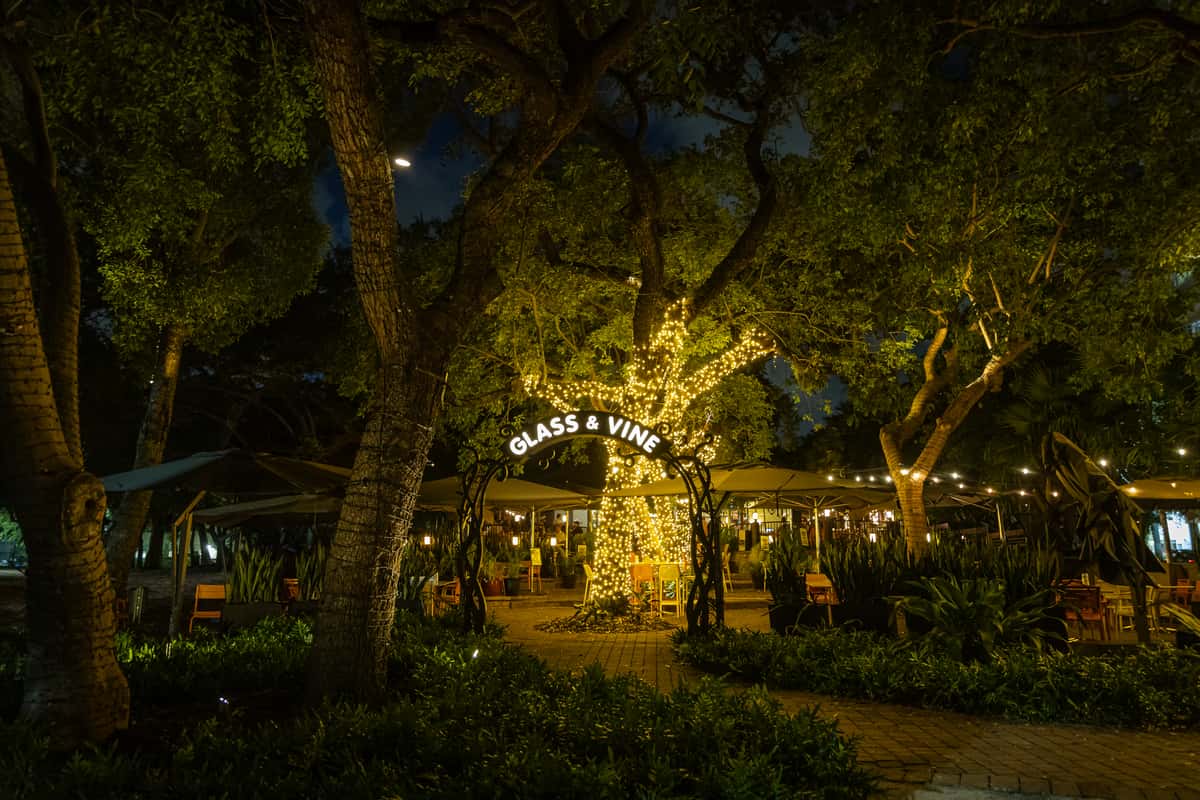 Glass & Vine outdoor entrance at night with tree lights, garden seating, and patio umbrellas