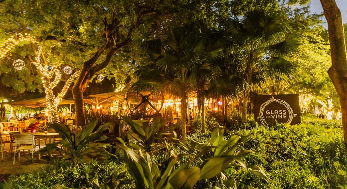 Open-air restaurant bar with red and white bar stools, backlit wine shelves, and guests dining under trees with ambient evening lighting.