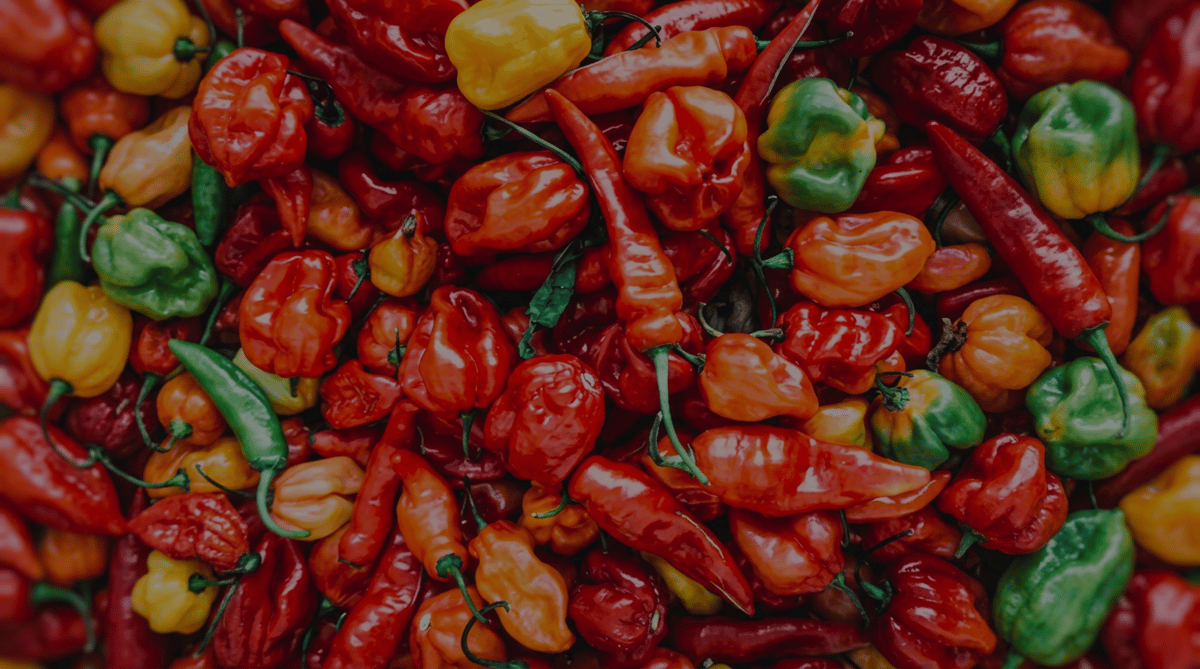 Close-up of a vibrant assortment of red and orange chili peppers, including some yellow and green peppers.