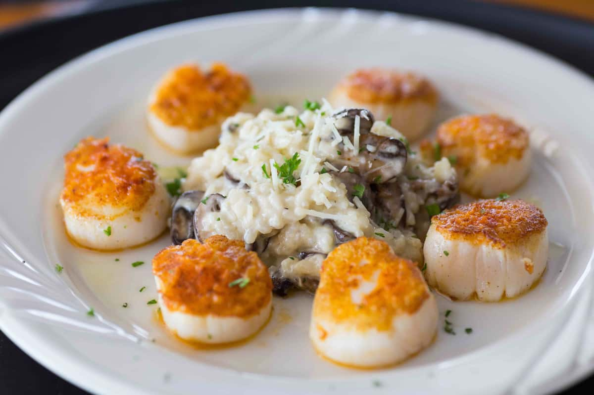 scallops