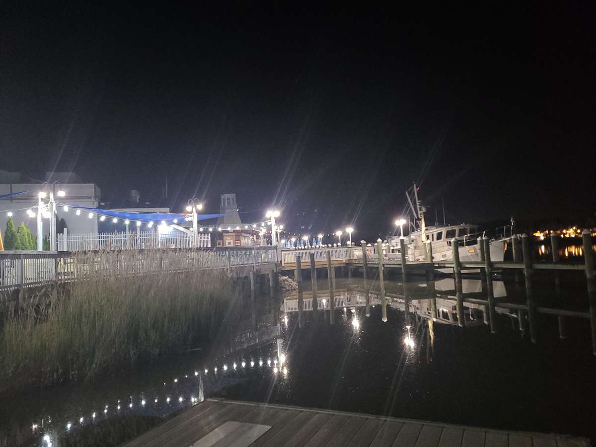 Schaefer's Marina Night Life