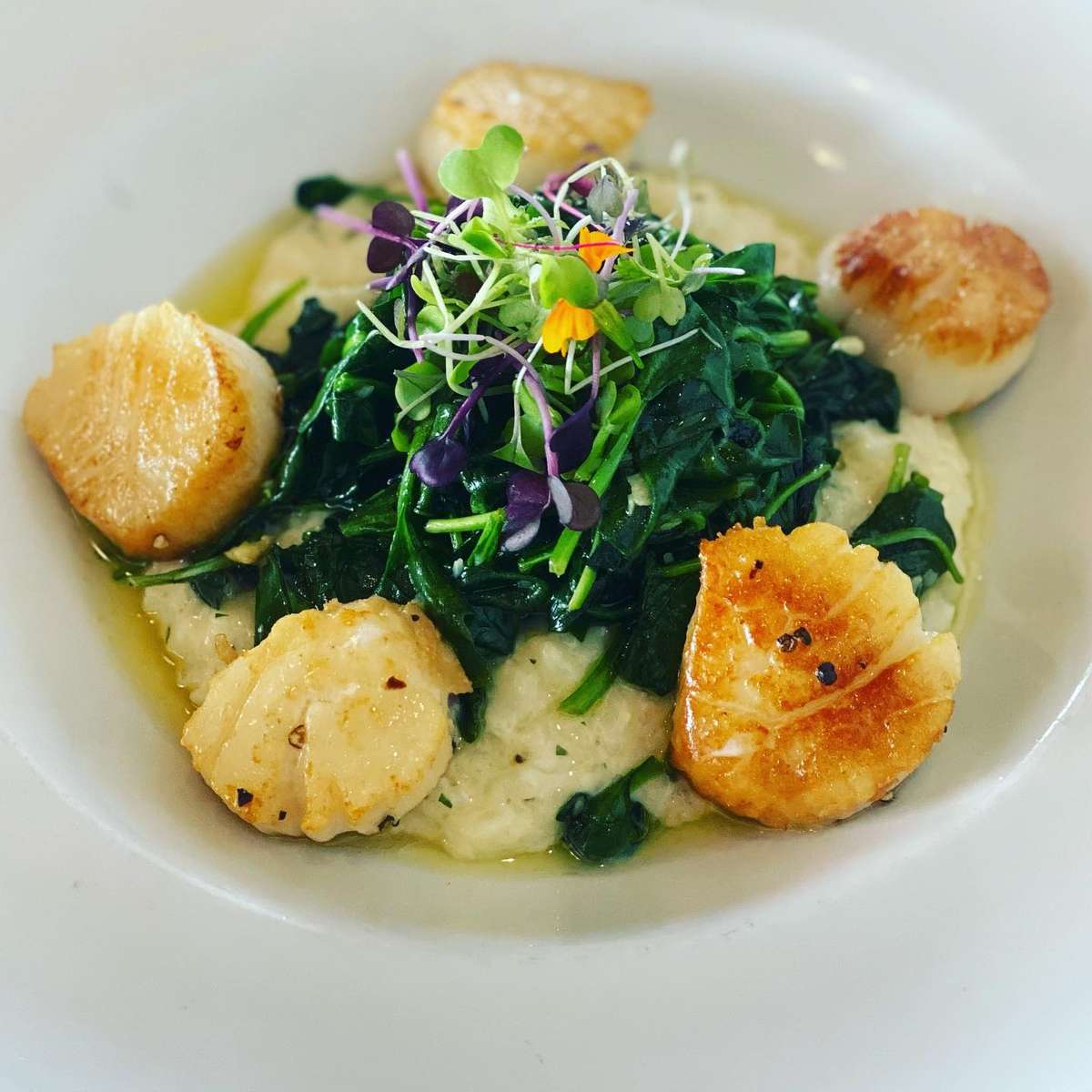 Shrimp Risotto