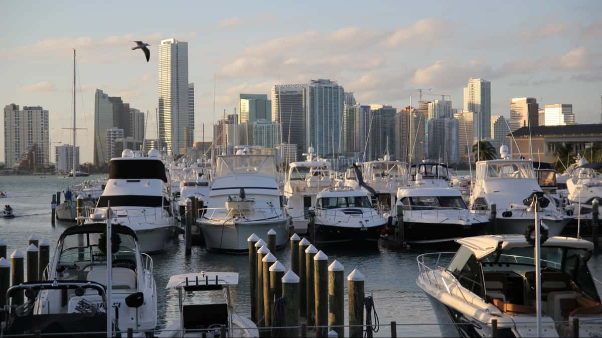 Docked boats