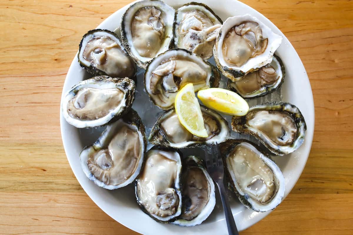 The Hook Oysters