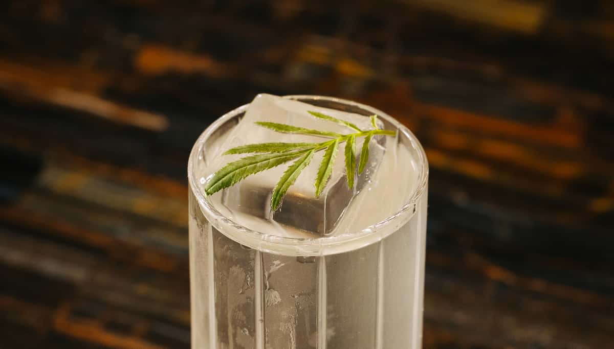 Clear cocktail in a tall glass topped with rosemary garnish.