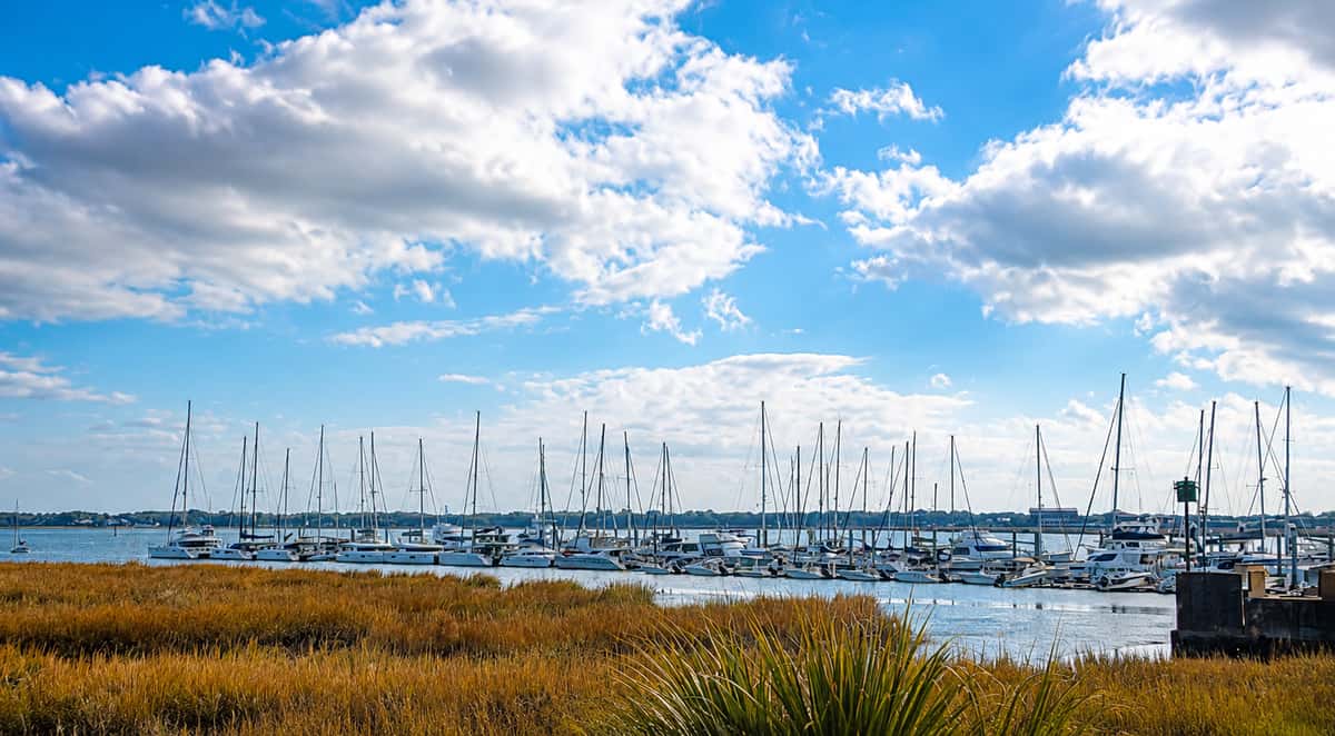 Charleston City Marina View from Fin
