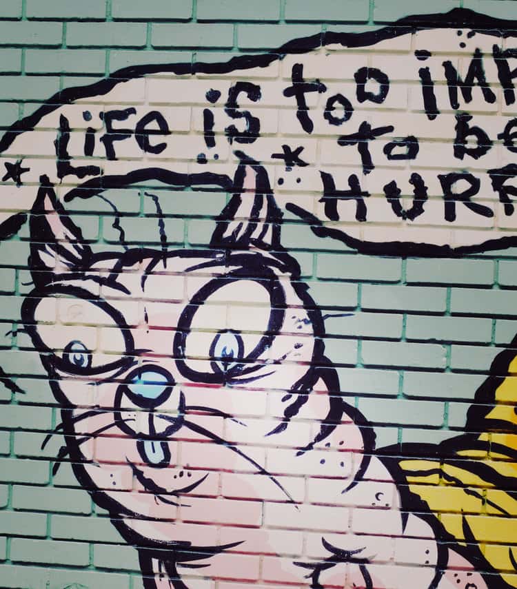 cat mural
