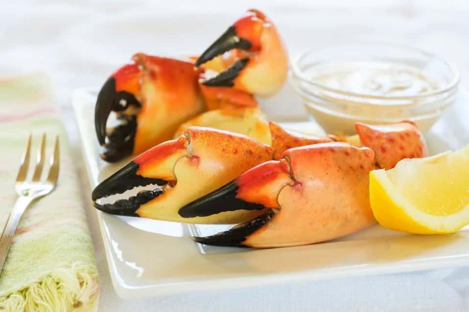 Stone Crab season