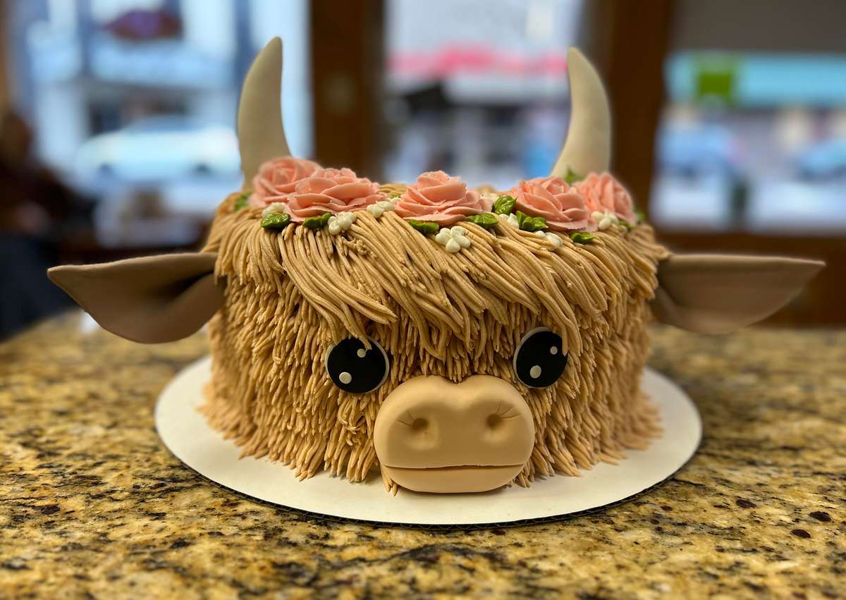 highland cow cake