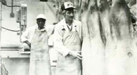 Goodney and Mo 1980