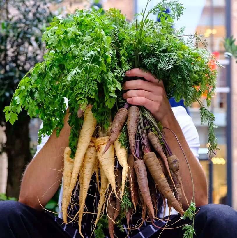 Carrots