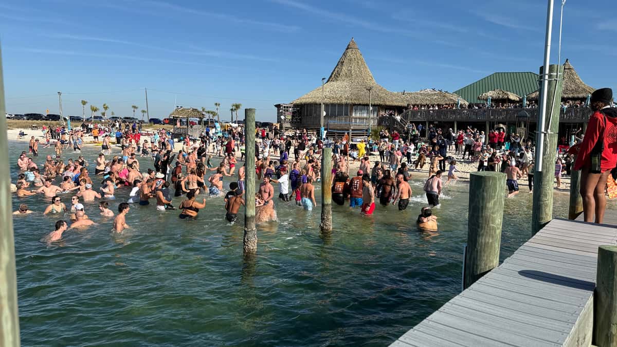 Plunge2026