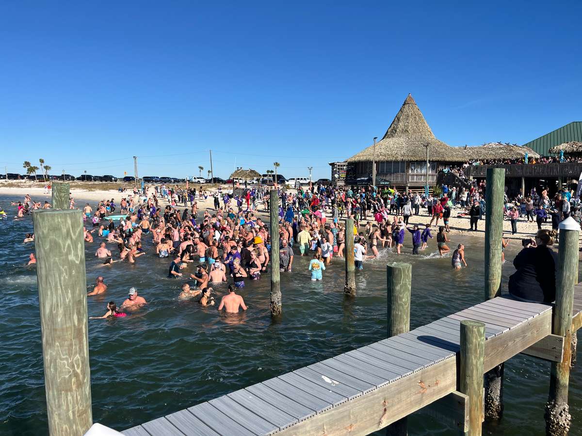 Penguin Plunge 25